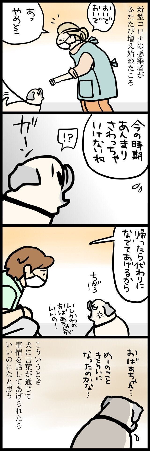 【連載】パグ犬・めー