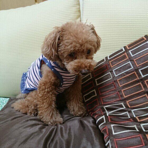 今、カミナリが鳴ってるの。怖い〜。