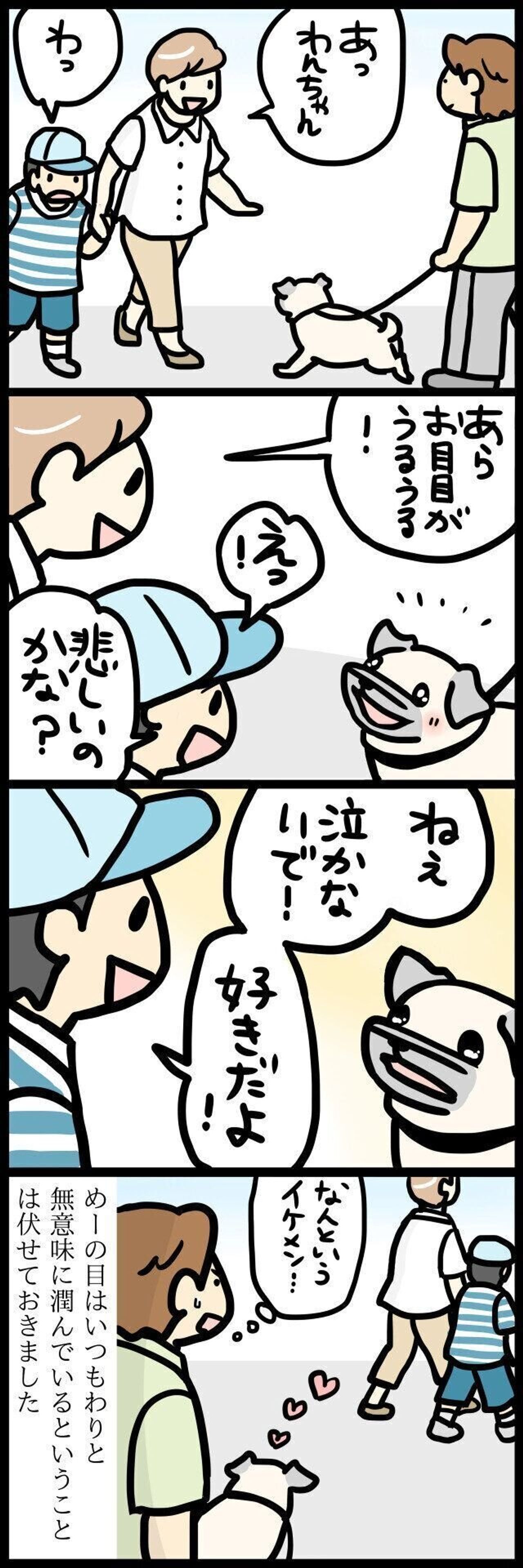 スキだよ の破壊力がスゴイ めーが男の子に告白された 連載 パグ犬 めー Vol 106 いぬのきもちweb Magazine スキだよ の破壊力がスゴイ めーが男の子に告白された 連載 パグ犬 めー Vol 106 いぬのきもちweb Magazine