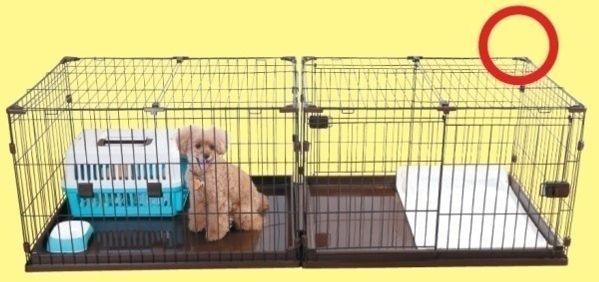 愛犬が喜ぶ ピッタリサイズのクレートとサークルの選び方 いぬのきもちweb Magazine 愛犬が喜ぶ ピッタリサイズのクレートとサークルの選び方 いぬのきもちweb Magazine
