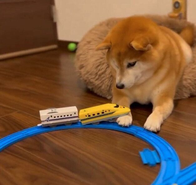 動じないいちちゃん