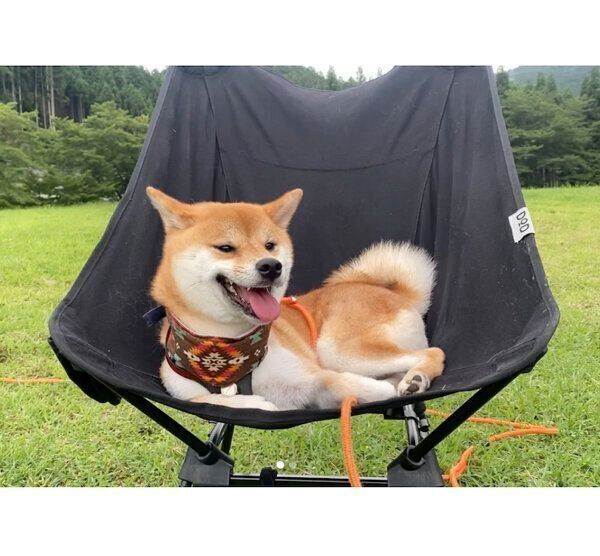 楽しそうなきなこちゃん