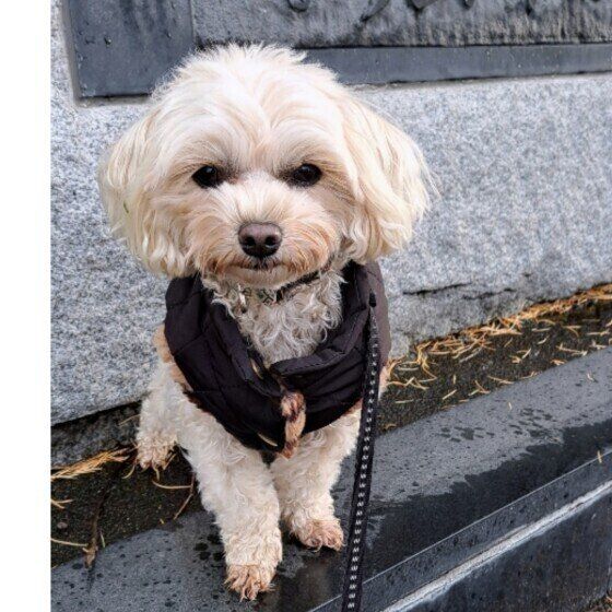 真顔でたたずむよつばちゃん