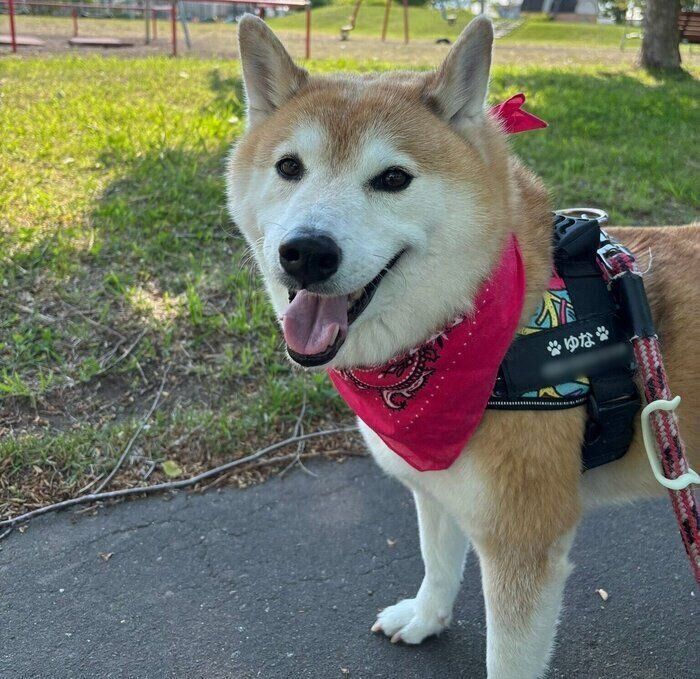 成長したゆなちゃん
