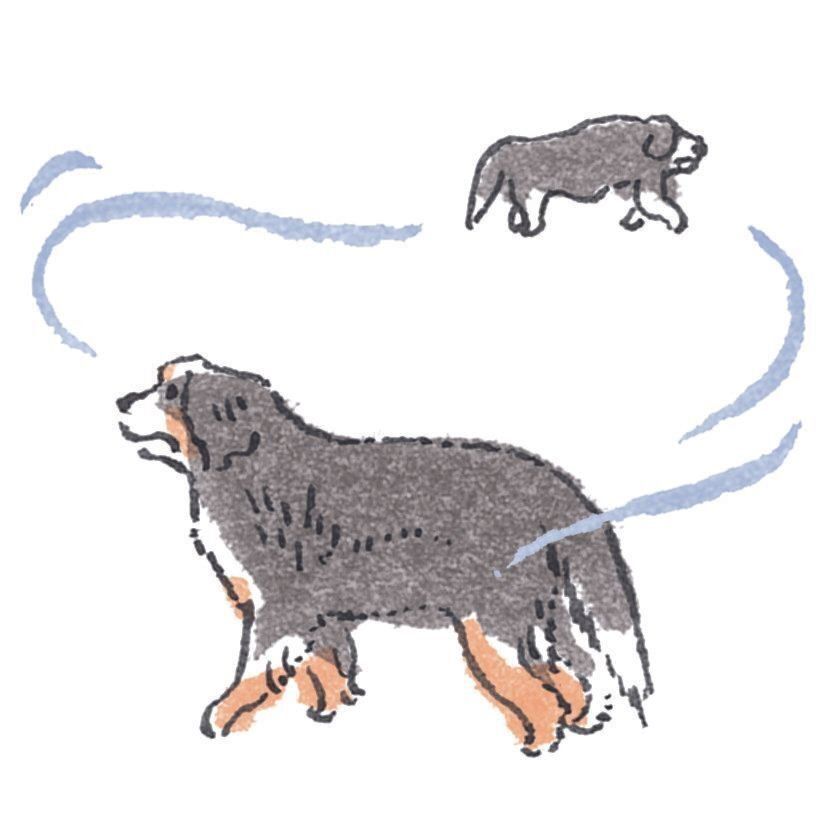 サークリング／ペーシング