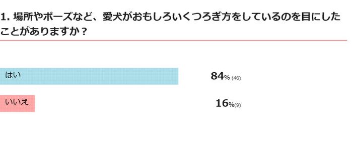 愛犬がおもしろいくつろぎ方をするのを見たことある?