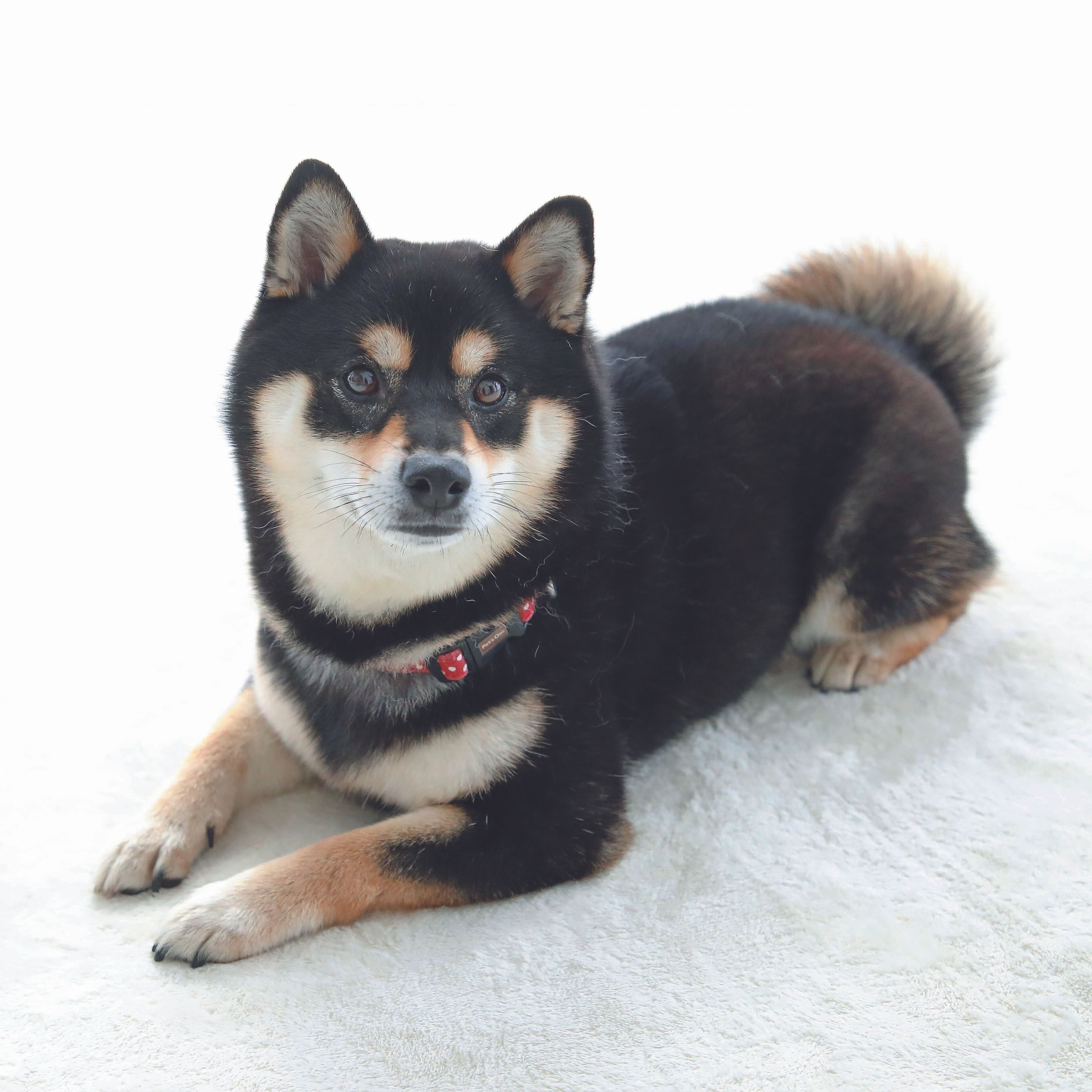 撮影／尾﨑たまき