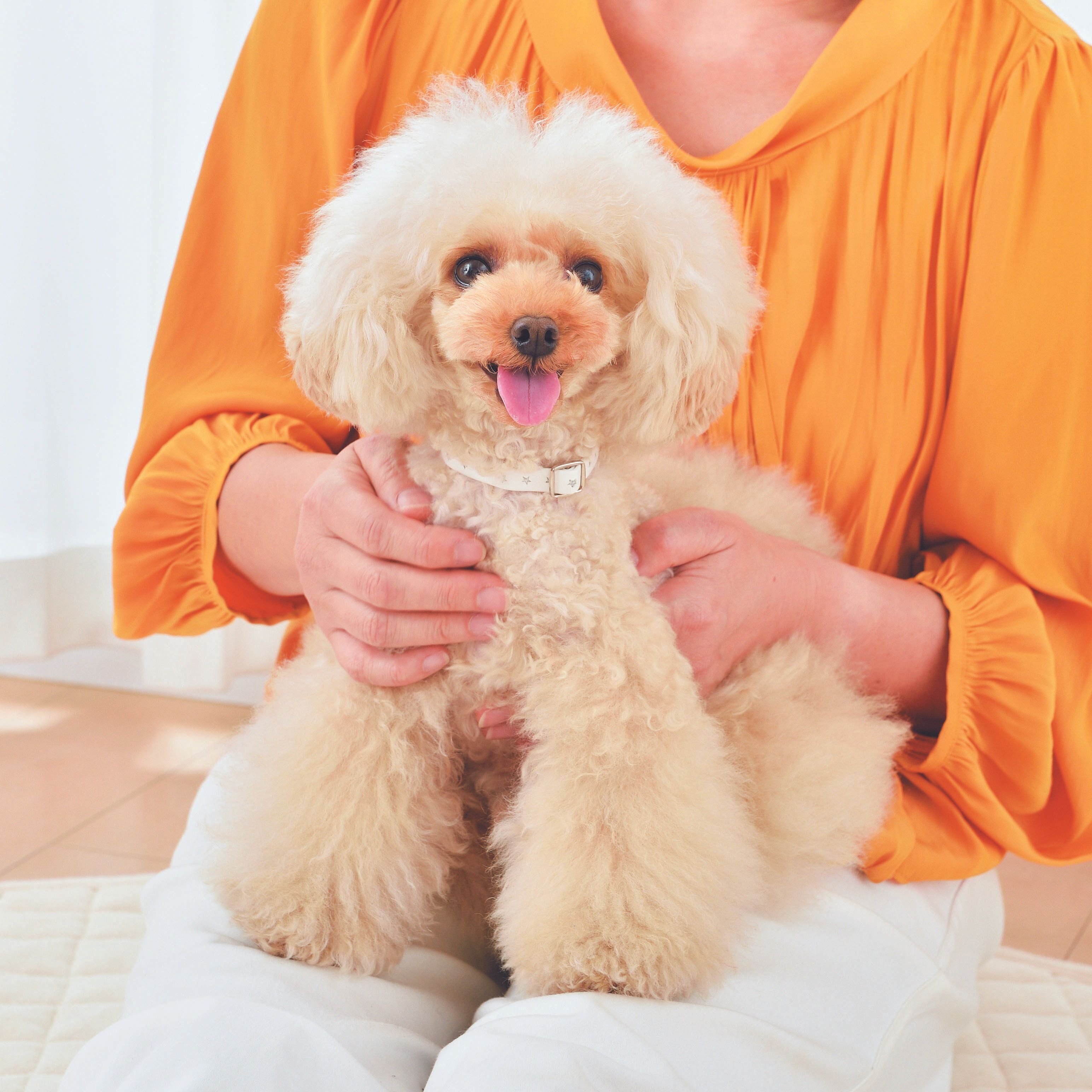 愛犬に大好きを伝えよう！