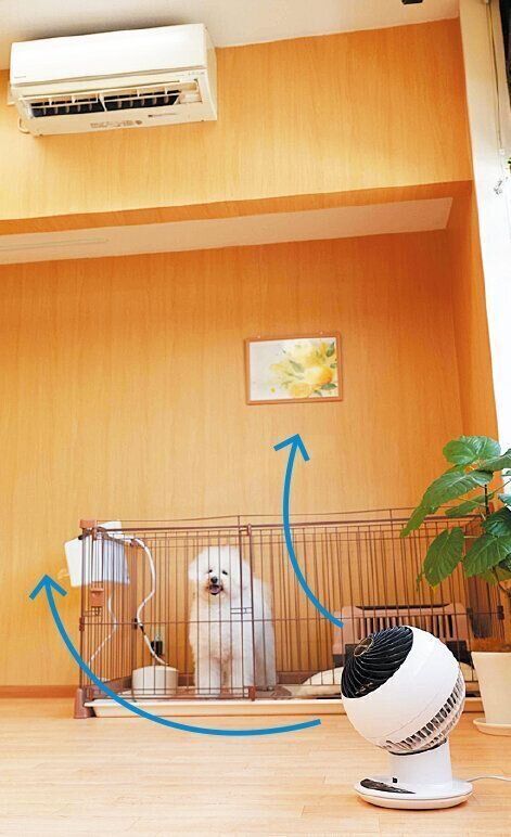 撮影／殿村忠博