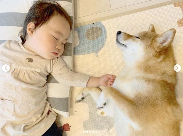 寄り添って眠る花子ちゃんとモモ子ちゃん