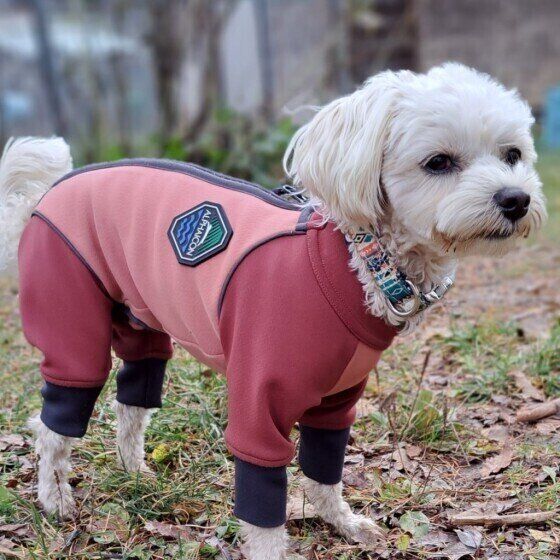 MIXのよつばちゃん