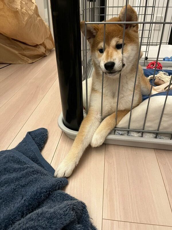 タオルを取ろうとする唯ちゃん