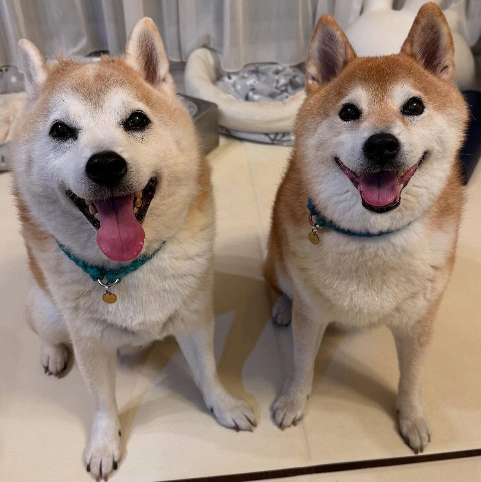 ニコニコするはるくん、ころくん