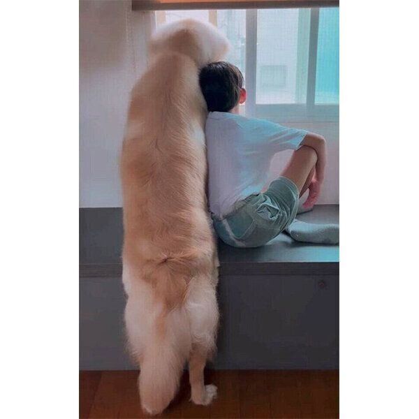 仲良く外を見るテオくんと息子さん