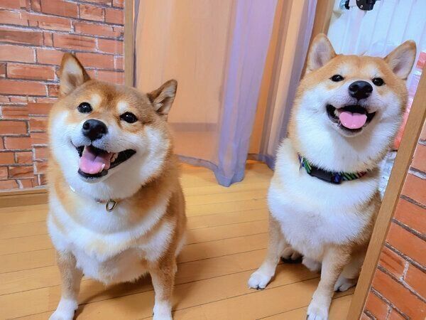 笑顔が可愛い北翔くん、紬ちゃん