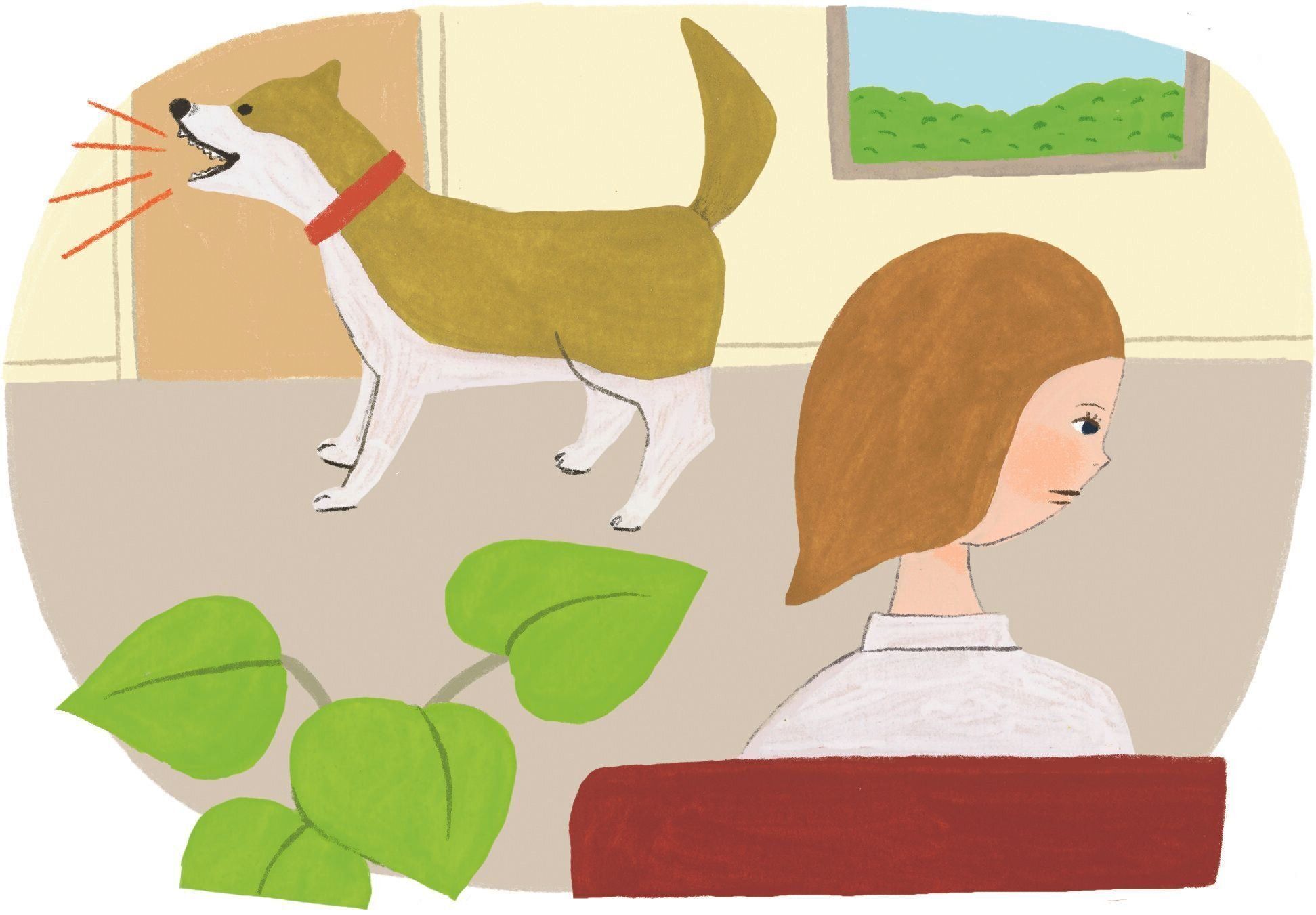 イラスト／macco