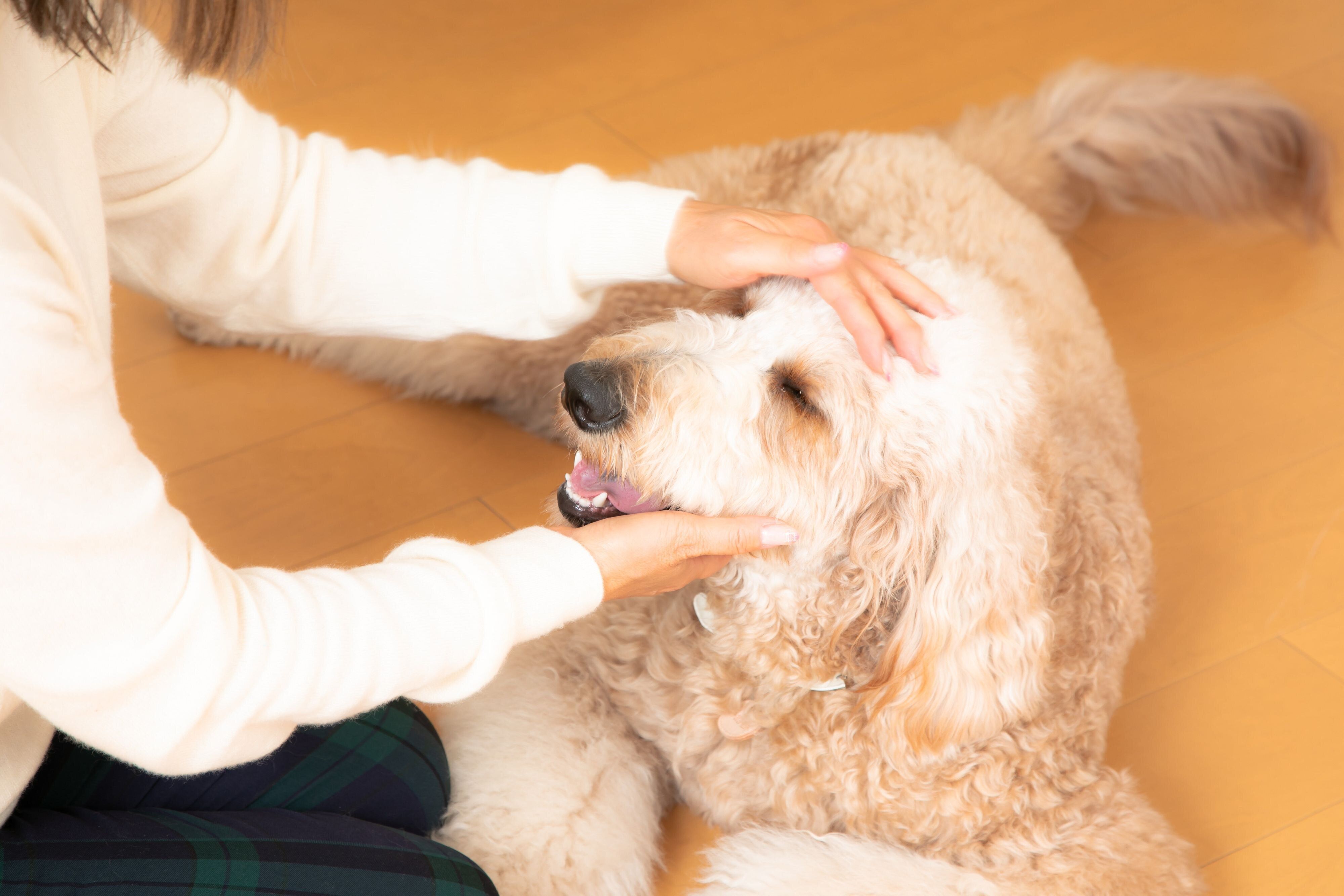撮影／殿村忠博