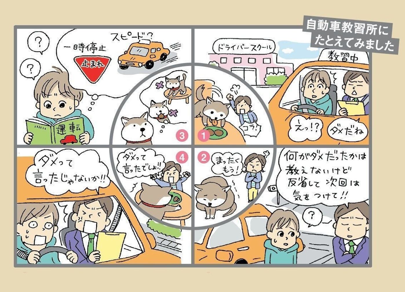 マンガでわかる 犬を叱っちゃダメな理由って いぬのきもちweb Magazine マンガでわかる 犬を叱っちゃダメな理由って いぬのきもちweb Magazine