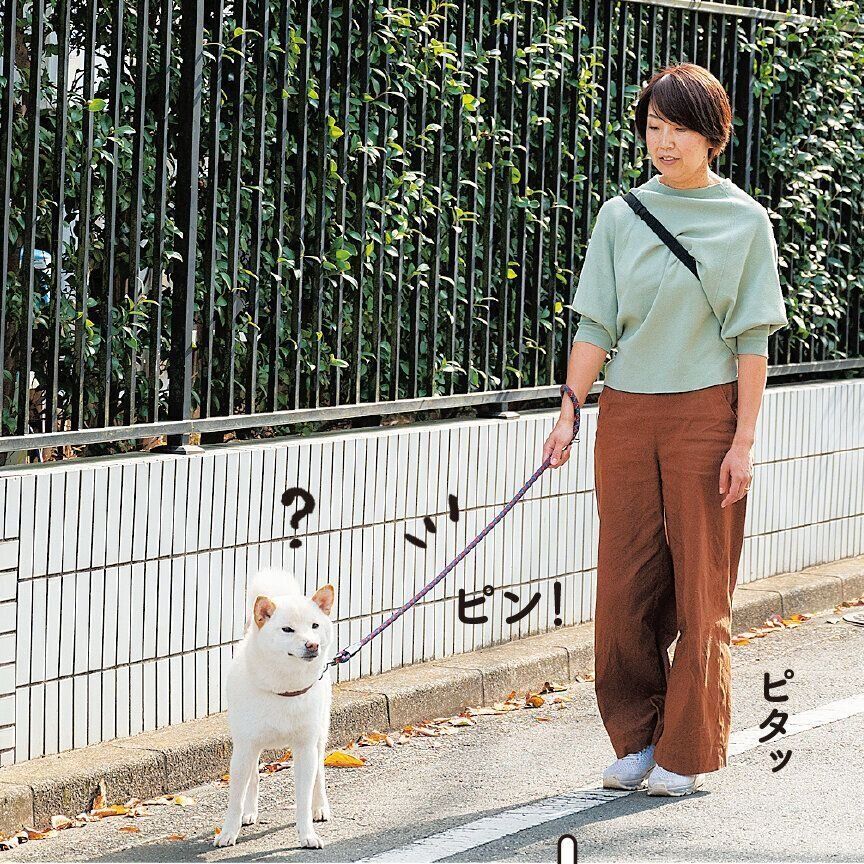 引っ張ったら進めないことを教えよう