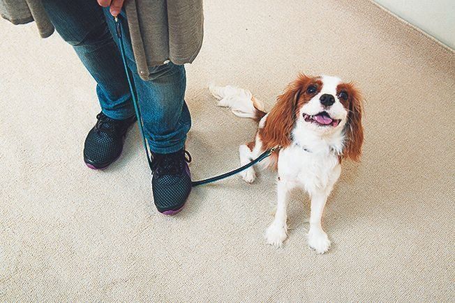 撮影／浜田一男