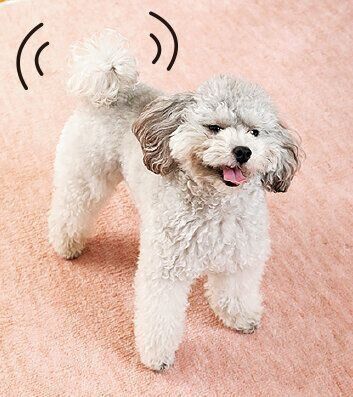 撮影／尾﨑たまき