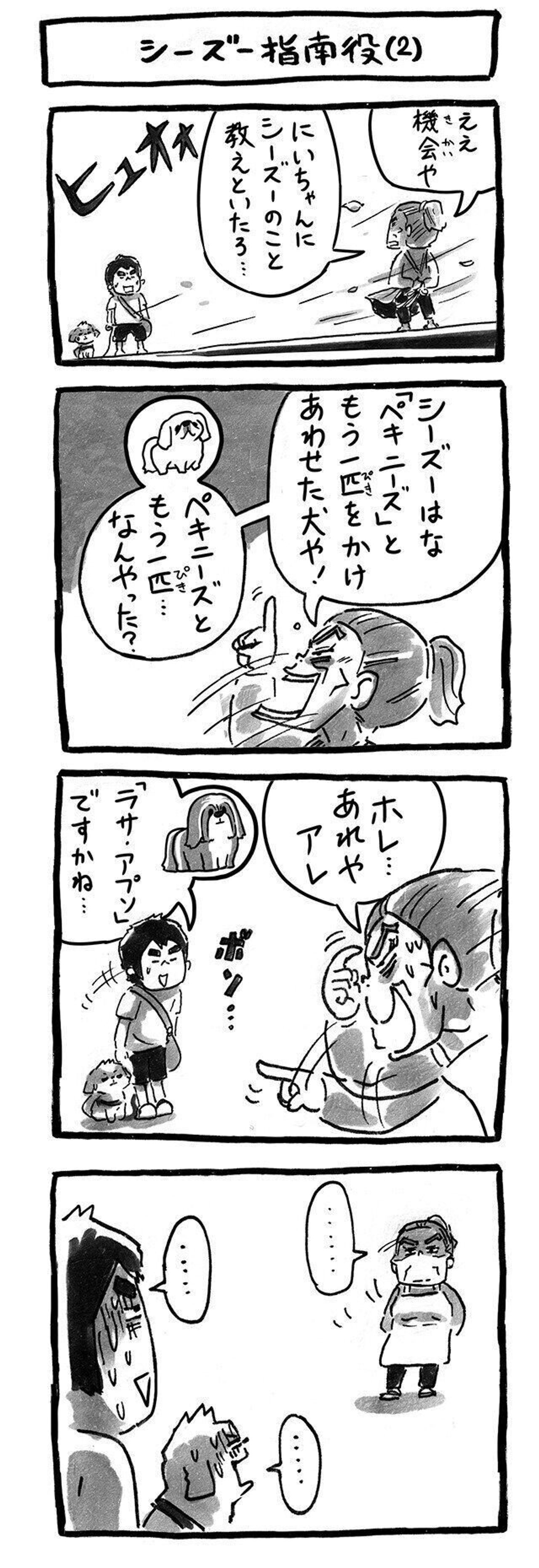 どんどんヒートアップしていくシー ズー講義 連載 シーズー犬のてんぽ 第98回 いぬのきもちweb Magazine どんどんヒートアップしていくシー ズー講義 連載 シーズー犬のてんぽ 第98回 いぬのきもちweb Magazine