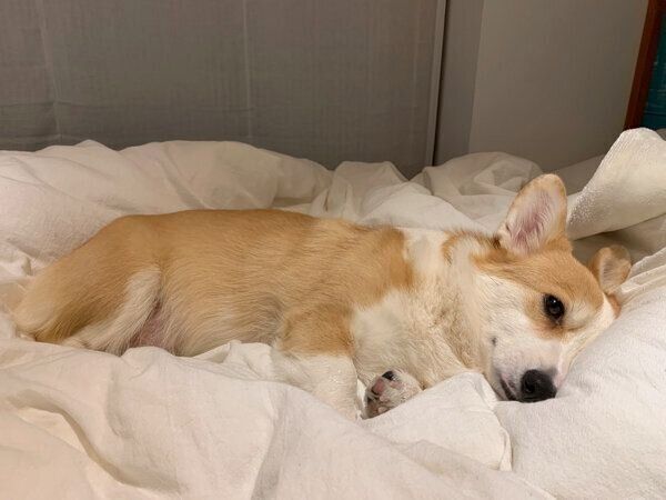 まったりするつむぎちゃん