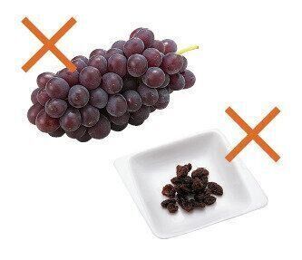 ぶどうとレーズン