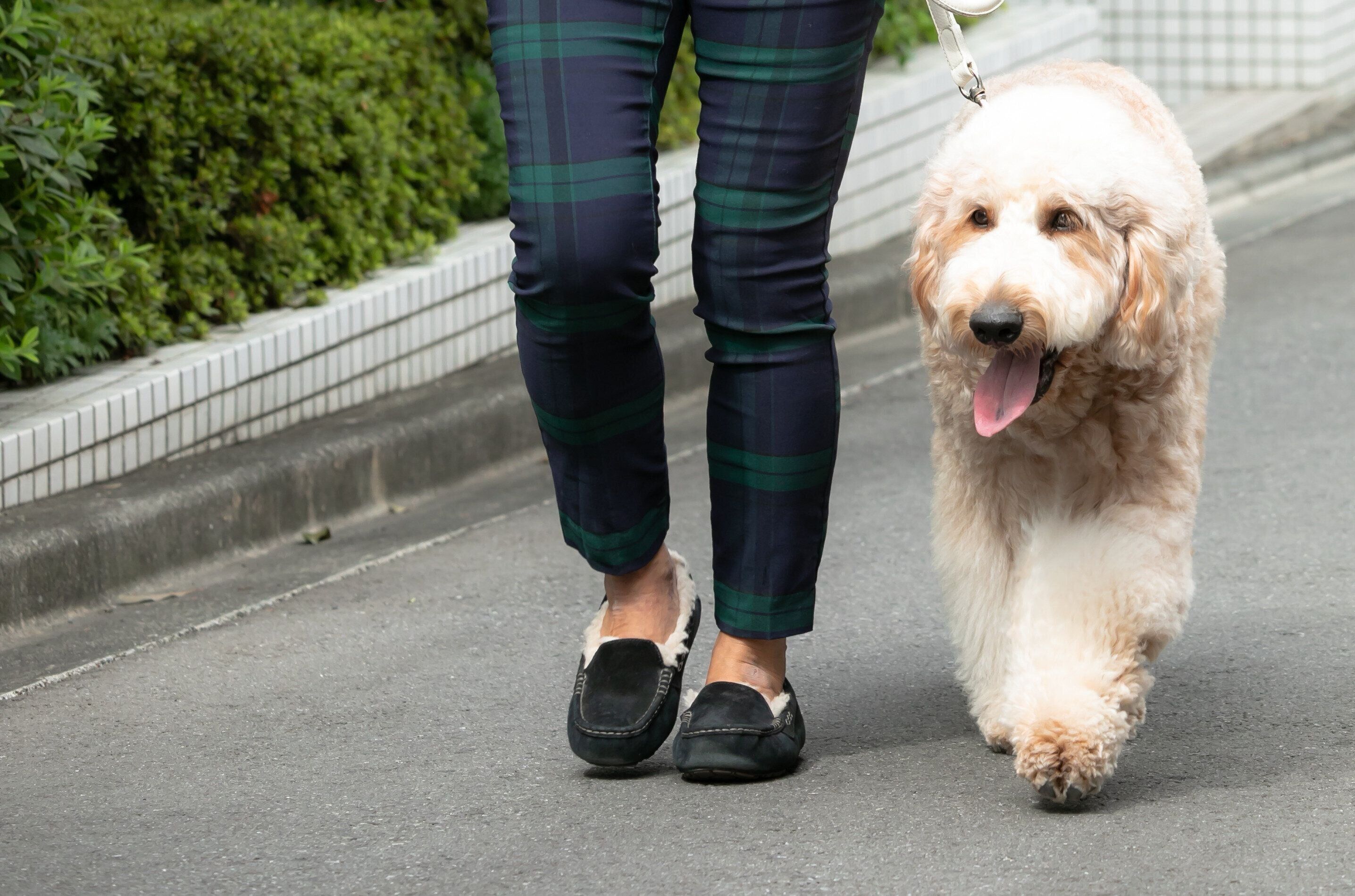 撮影／殿村忠博