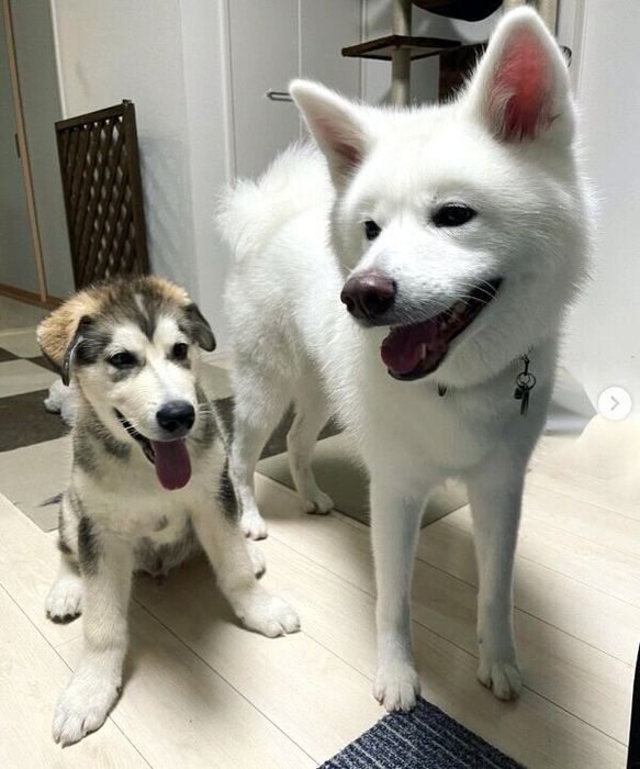 ユキちゃんとヨルくん