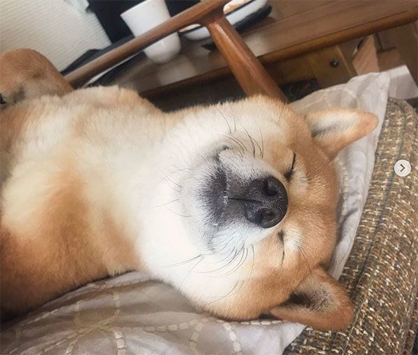 眠るエマちゃん