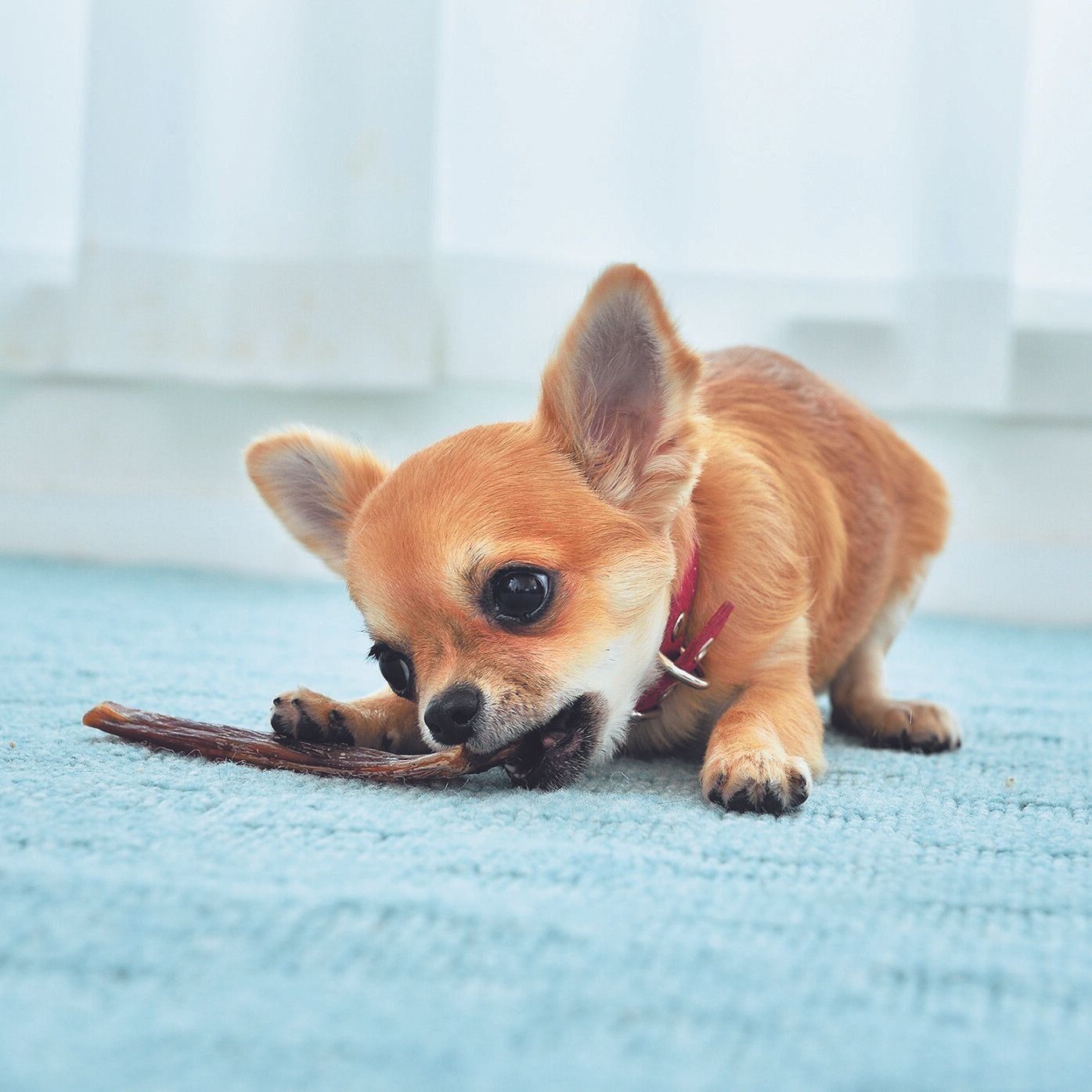 撮影／佐藤正之