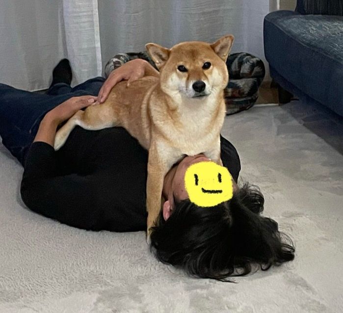 飼い主さんの体の上に乗るおだしくん