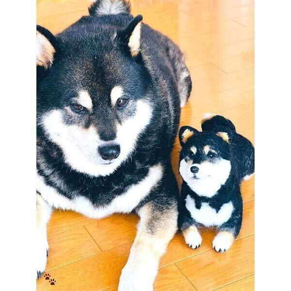 ジョナスちゃんとチビジョナスちゃん