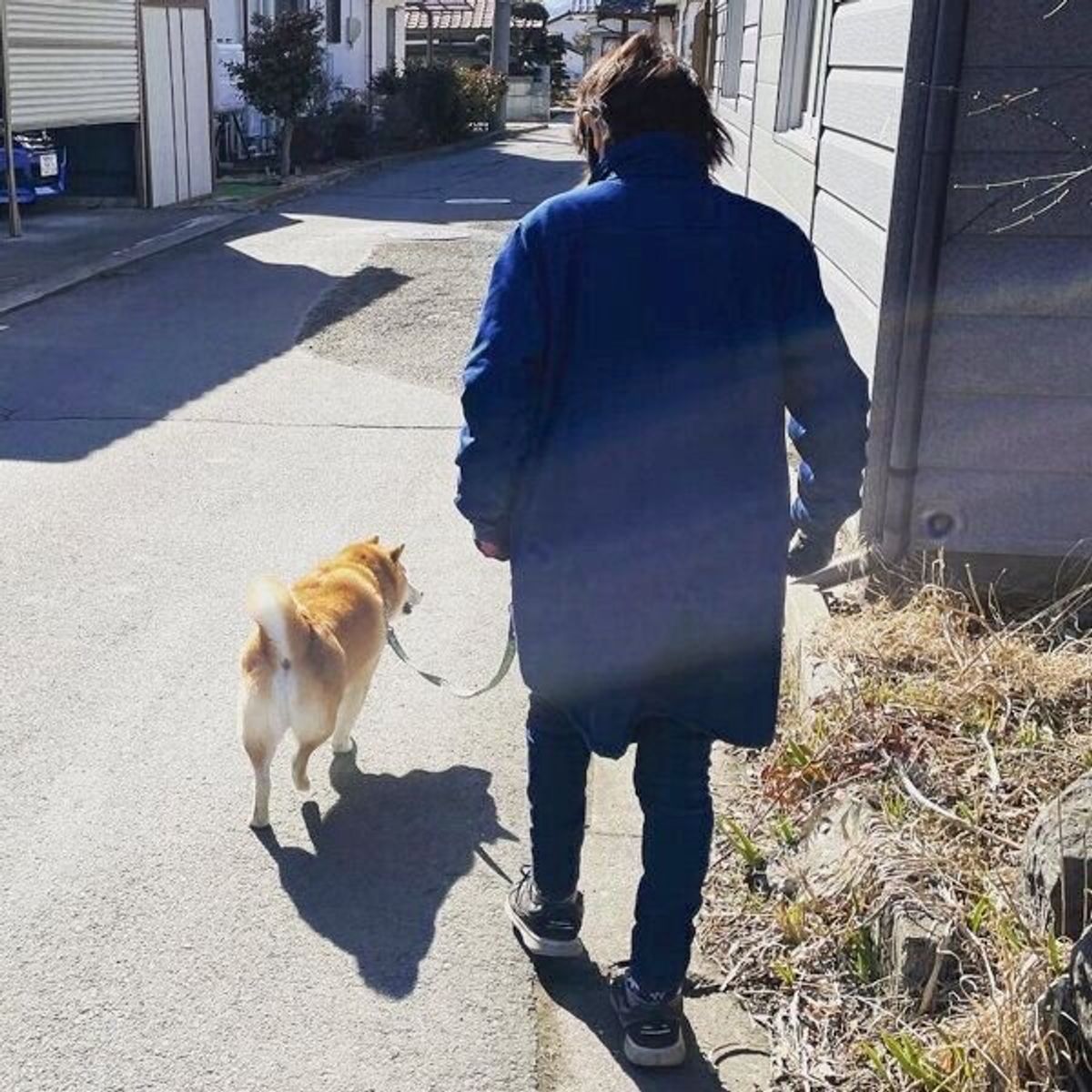 普段は早足なのに 高齢のお母さんがリードを持つと 別犬 に 柴犬の 気遣い にほっこり いぬのきもちweb Magazine 普段は早足なのに 高齢のお母さんがリードを持つと 別犬 に 柴犬の 気遣い にほっこり いぬのきもちweb Magazine