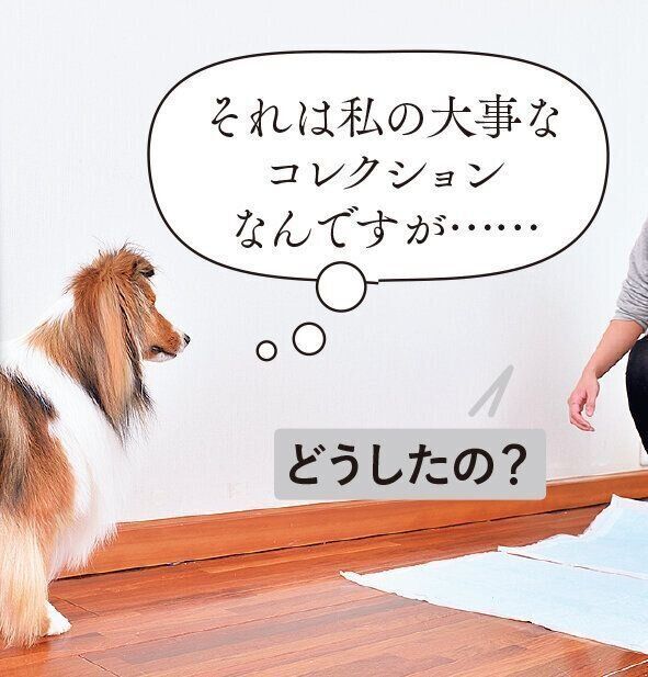 撮影／佐藤正之