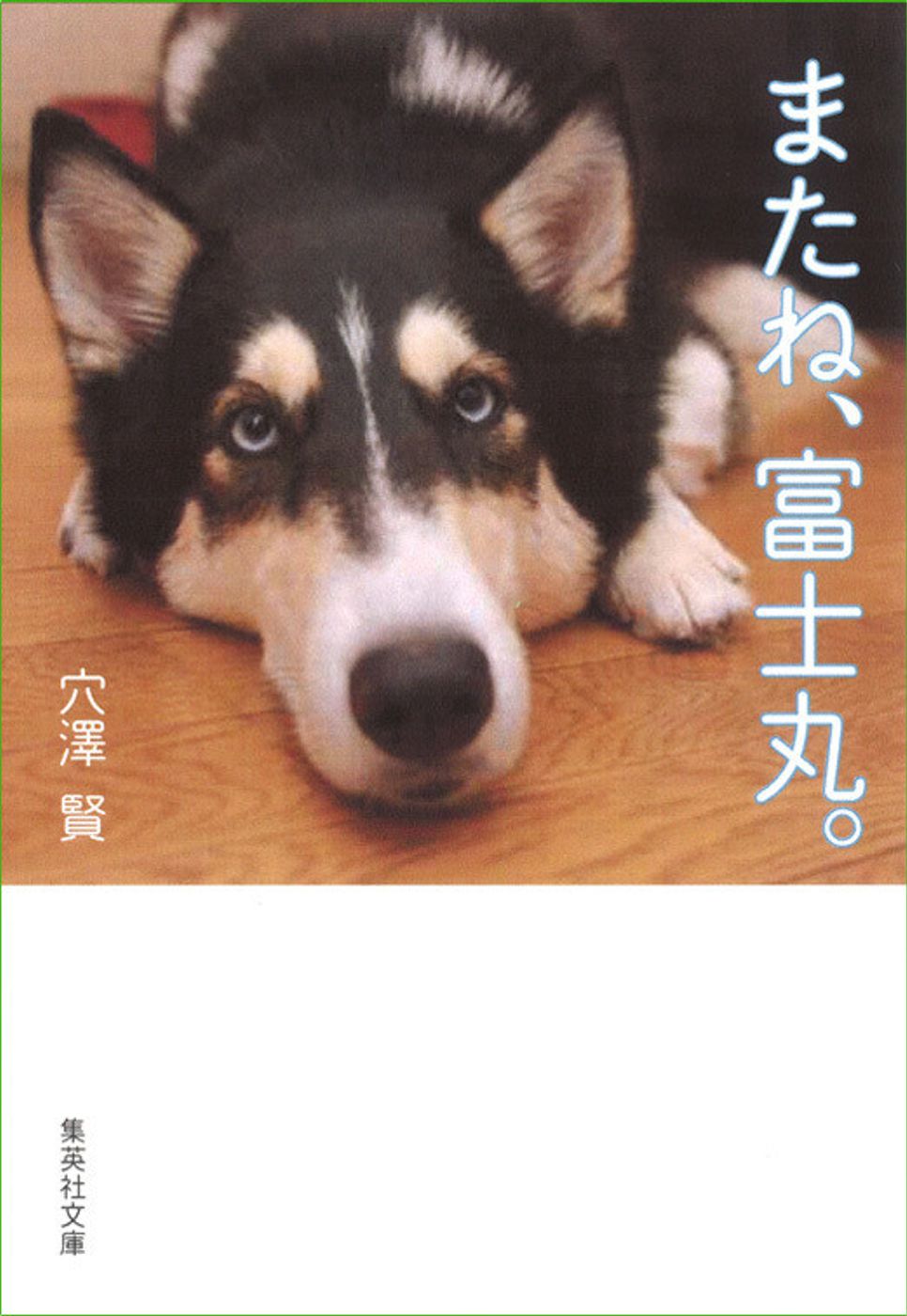 あのころと それからのこと 穴澤賢の犬のはなし いぬのきもちweb Magazine あのころと それからのこと 穴澤賢の犬のはなし いぬのきもちweb Magazine