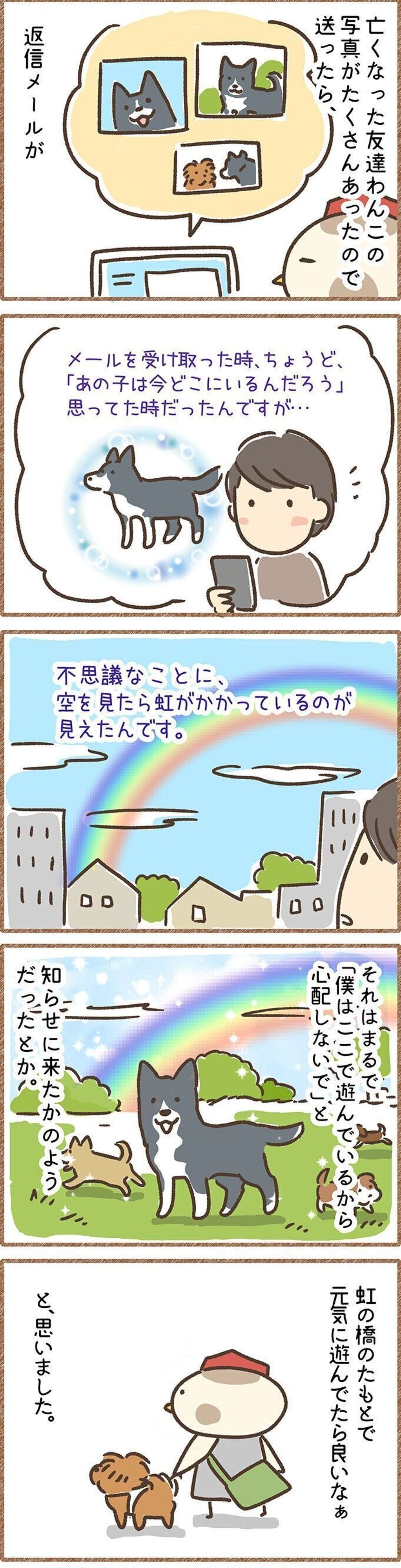 亡くなった友達ワンコ 飼い主さんが語った虹のお話 連載 こぐま犬てんすけ Vol 84 いぬのきもちweb Magazine 亡くなった友達ワンコ 飼い主さんが語った虹のお話 連載 こぐま犬てんすけ Vol 84 いぬのきもちweb Magazine