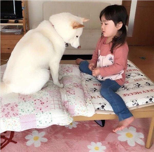 ワンコと子ども