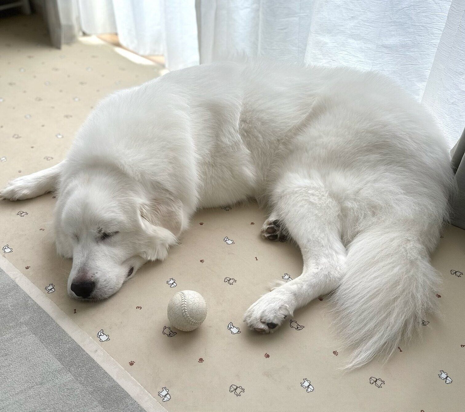 まったりするララちゃん