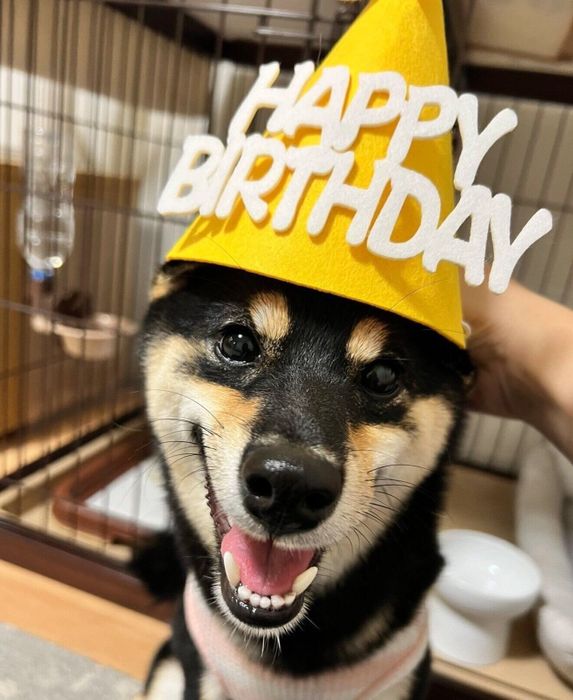 笑顔が可愛いべるちゃん