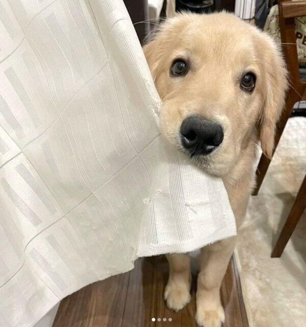 見つめるそらくん