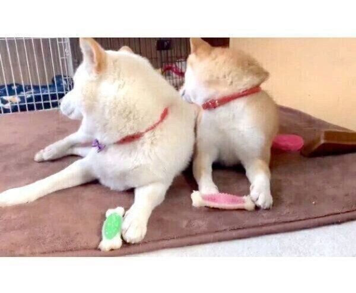 Fmsbftajnmyowm Fmsbftajnmyowm