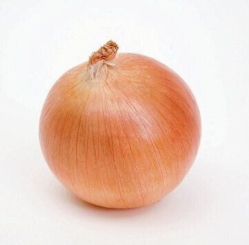 ネギの仲間も要注意です