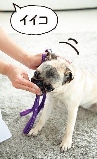 撮影／尾﨑たまき