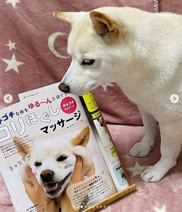 「いぬのきもち」に掲載されたココちゃん