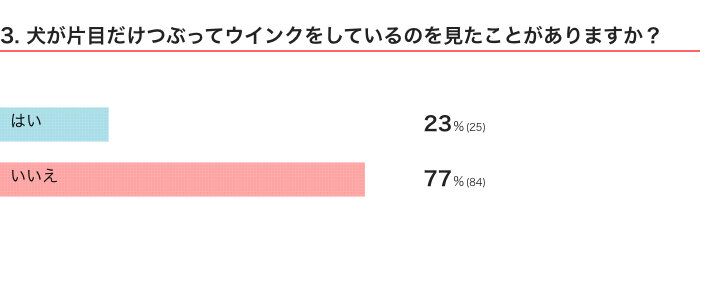 いぬのきもちWEB MAGAZINE『犬の行動に関するアンケートvol.20』