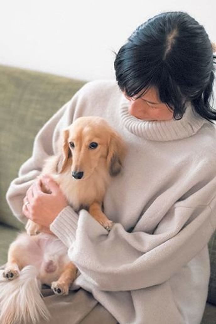 100均を活用したケージも 犬と暮らす家のdiyアイデアに迫るおうち徹底取材 いぬのきもちweb Magazine 100均を活用したケージも 犬と暮らす家のdiyアイデアに迫るおうち徹底取材 いぬのきもちweb Magazine