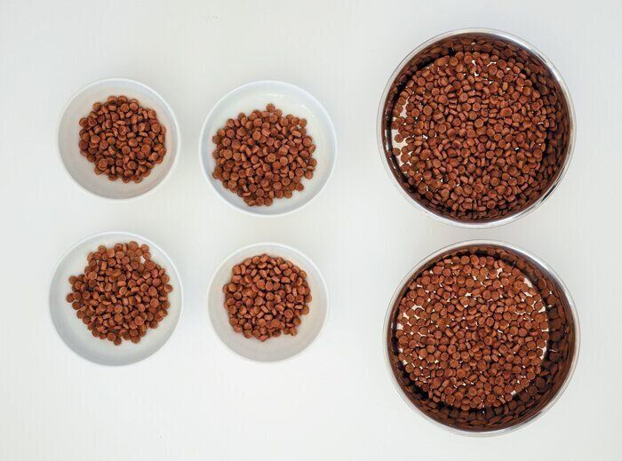 食事の回数を増やす