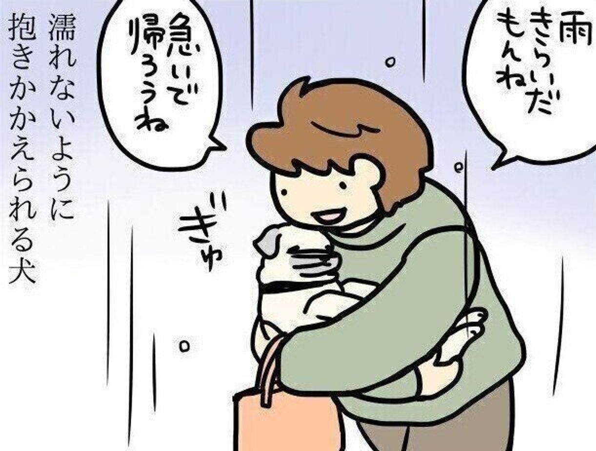 雨が降れば抱っこされ 恩師に会えば抱っこされるパグ犬 連載 パグ犬 めー Vol 127 いぬのきもちweb Magazine 雨が降れば抱っこされ 恩師に会えば抱っこされるパグ犬 連載 パグ犬 めー Vol 127 いぬのきもちweb Magazine